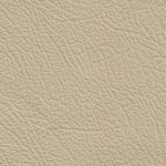 Mercedes Benz Parchment
