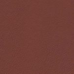 Audi Nappa Mustang Brown