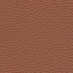 BMW Ambiente Terracotta