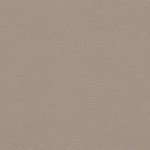 Lamborghini Nappa Myron Beige