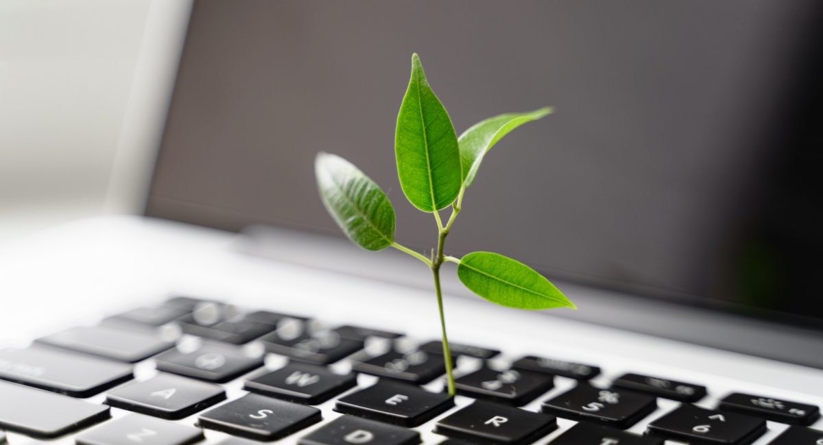 greeninitiative_back_office