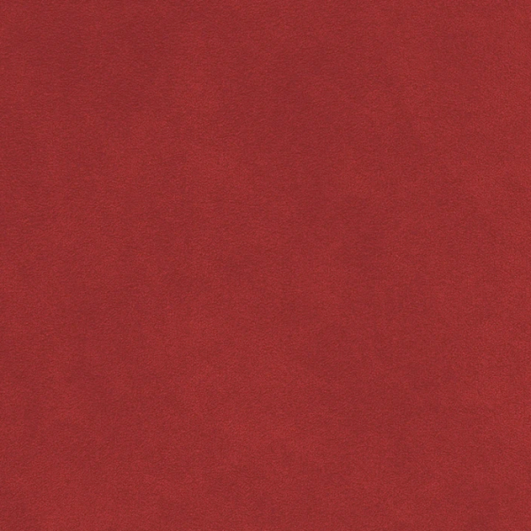 Alcantara-Goya-600x600