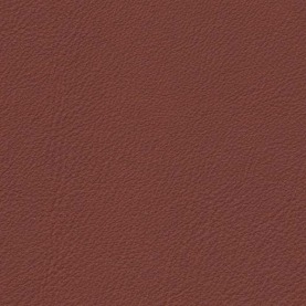 Audi-Nappa-Mustang-Brown-1666