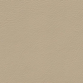 Audi-Nappa-Velvet-Beige-1602_2