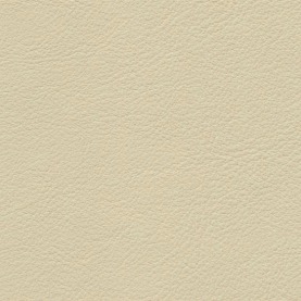 Audi-Valcona-Cream-Beige-1661_1