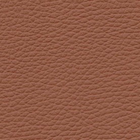 BMW Ambiente Terracotta