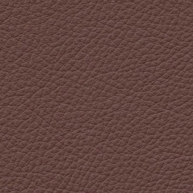 BMW Cinnamon Brown