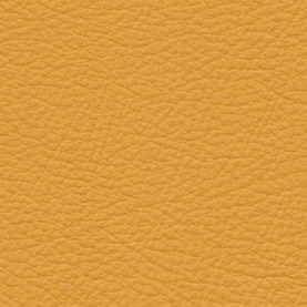 BMW Corn Yellow