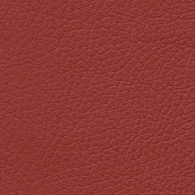 BMW Dakota Coral