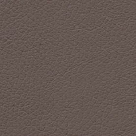 BMW Dakota Truffle Brown