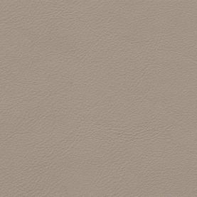 Lamborghini-Nappa-Myron-Beige-1910_1