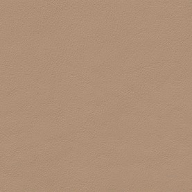 Porsche-Nappa-Luxor-Beige-1248