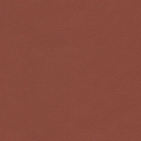 Porsche-Nappa-Terracotta-special-colour-S0960_1