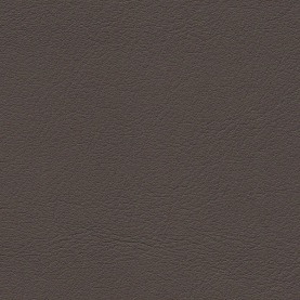 Porsche-Nappa-Umber-1254