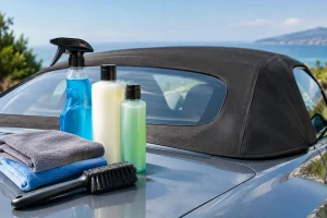 Best Convertible Roof Cleaning Products Reviewed