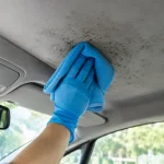 Remove Mould From Car Headliner Without Damage