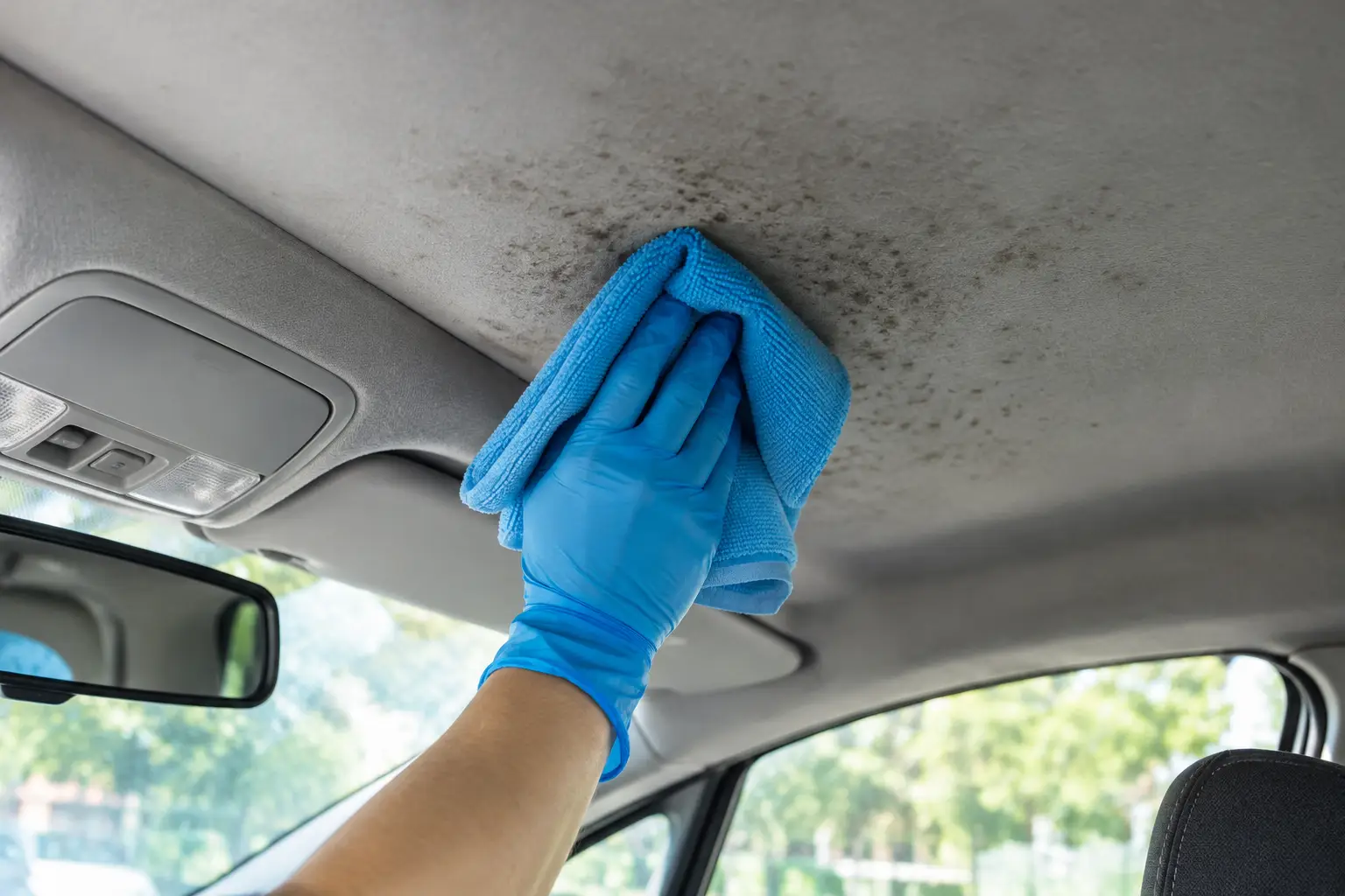 Remove Mould From Car Headliner Without Damage